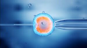 Fertility Solutions
